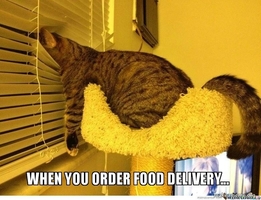 Be on the Lookout: Meal Delivery Begins TODAY!
